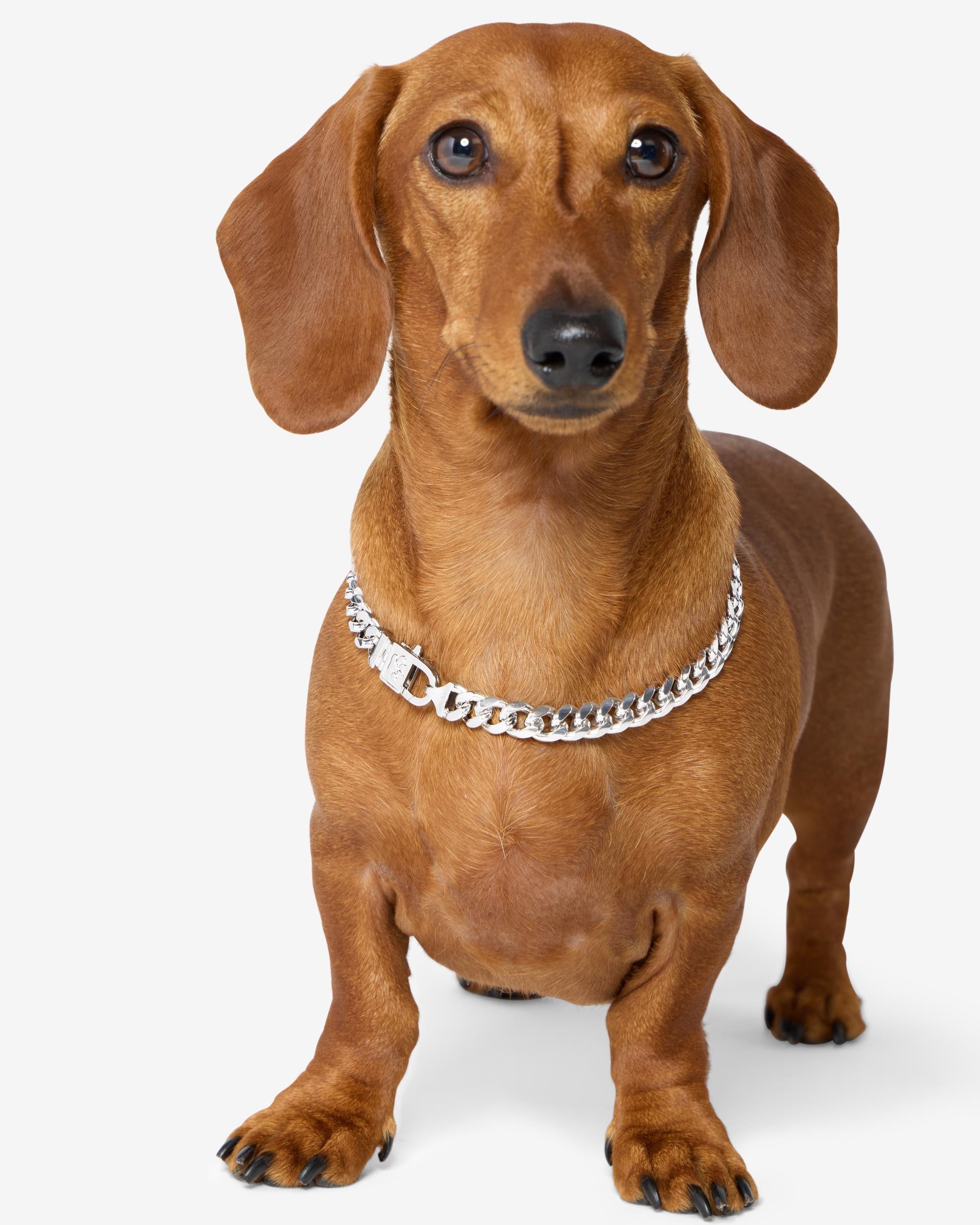 Thor Cuban Chain Pet Necklace 10.8mm - Silver